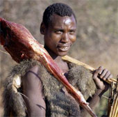 Office people burn 'calories' like African hunters