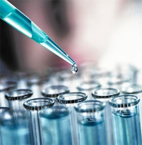 Officially tested the Ebola vaccine on the human body