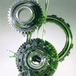 Oil of cars made from ... animal fat