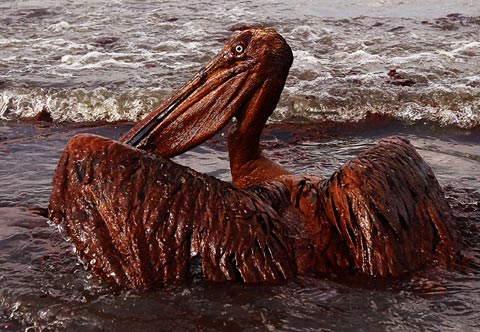 Oil spill in America