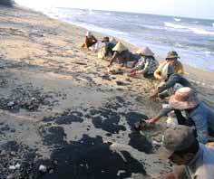 Oil spill in Da Nang sea, Quang Nam: I don't know where oil comes from