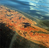 Oil spill threatens the French nature reserve