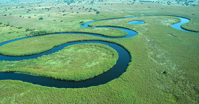 Okavango Plain - World Natural Heritage in Botswana