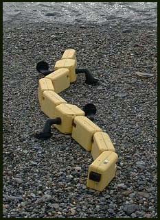 Older robots help to learn about lukewarm animals