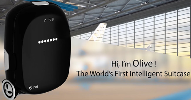 Olive: Intelligent wallet itself follow the owner, can turn into self-balancing car