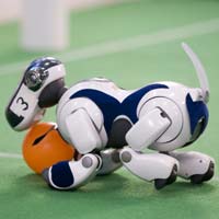 Olympics ... robots