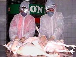 One more patient suspected of being infected with influenza A / H5N1
