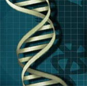 One-fifth of the world's population has smart, long-lived genes