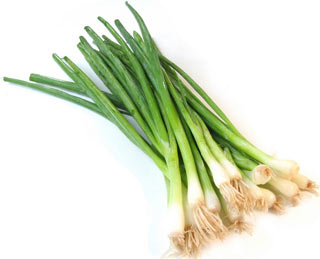 Onions - natural antibiotics