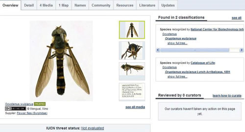 Online animal encyclopedia