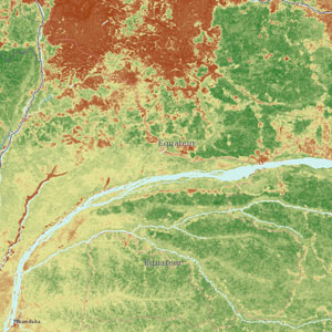 Online map of global rainforest carbon stocks