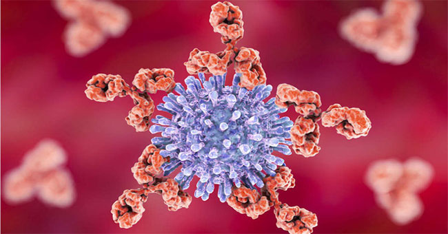 Only 1 year left, the HIV vaccine will be officially tested on humans