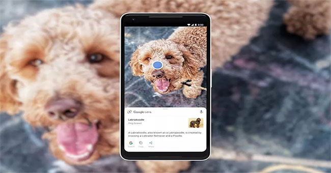 Only 'self-study' but Google's AI has identified billions of objects