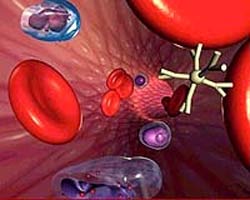 Optimizing the progress of studying bio-marked compounds in early detection of Serum cancer.