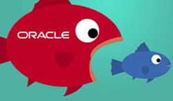 Oracle again swallowed MySQL