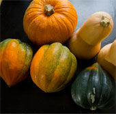 Orange food helps prevent breast cancer