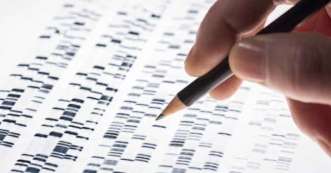 Outstanding scientific findings in 2015