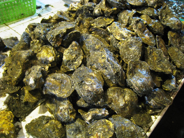 Oysters with language like?