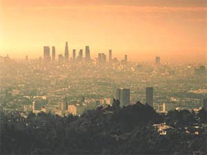 Ozone both harms the lungs and weakens the immune system