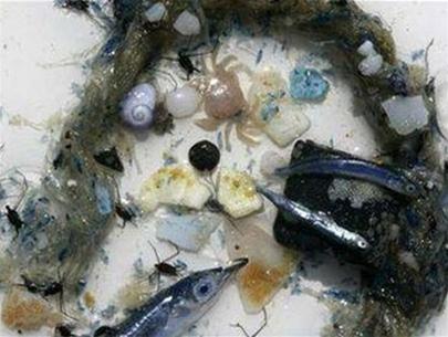 Pacific Ocean with 'plastic garbage sea'