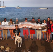 Paddle fish longer than 5m