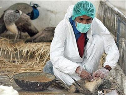 Pakistan closes the zoo for bird flu