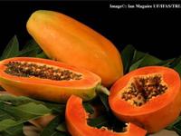 Papaya enough - effect enough sugar