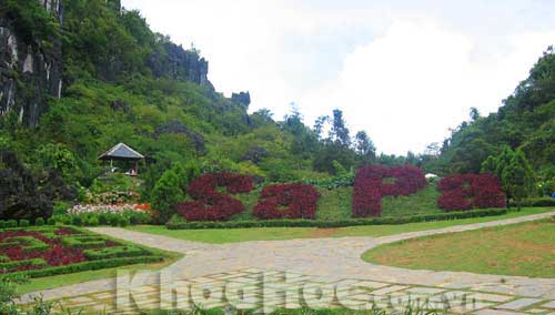 'Paradise' Sapa