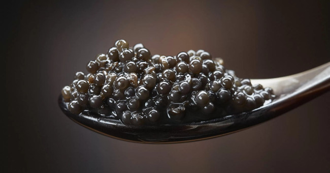 Paradox in some of the most expensive and luxurious dishes on the planet