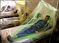 Paraguay announced a state of emergency for dengue