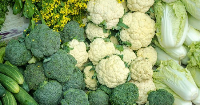 Parents who do not eat enough fiber can inherit their digestive disease