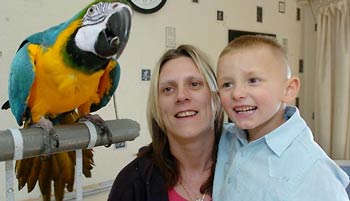 Parrots teach children to practice speaking