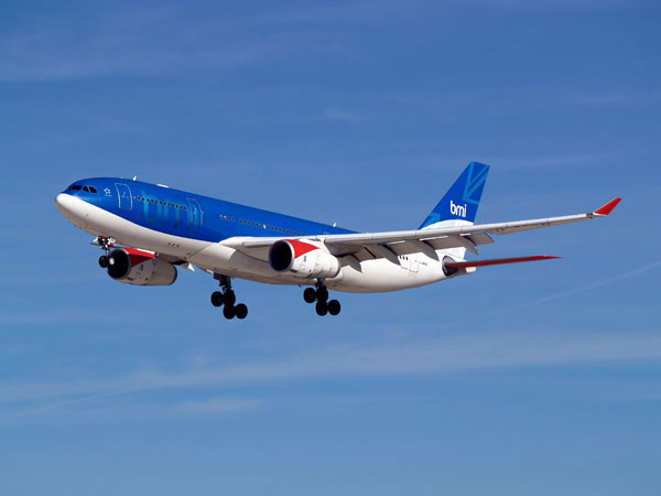 Passenger aircraft will run on sawdust and straw?