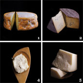 Patients with breast cancer and full-fat dairy products