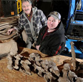 Peach bone mastodon over 10,000 years in the yard
