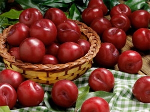 Peaches and plums are resistant to breast cancer