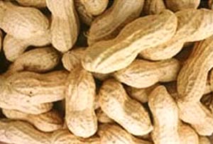 Peanut shells can purify water