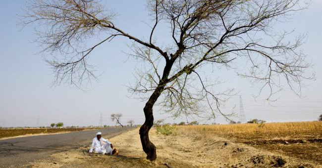Pedestrians could not lift their feet because of the hot sun that made molten sugar in India
