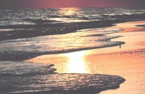 People and the sea change the climate of North America over the past 50 years