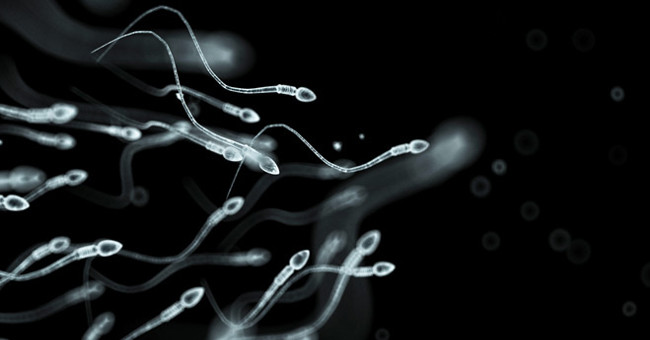 People are at risk of extinction because of the risk of infertility increases by 60%.