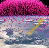 People can become radioactive when flying