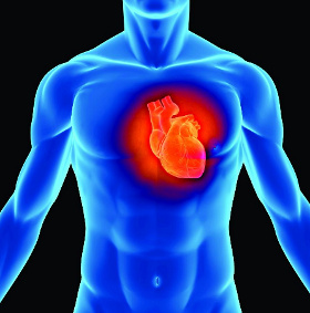 People can control the heart