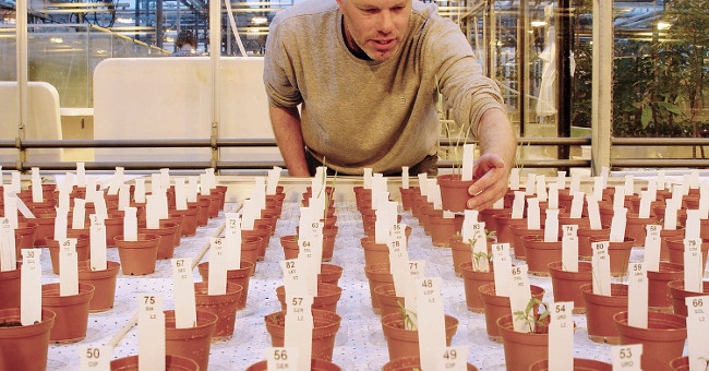 People can eat food grown from Mars