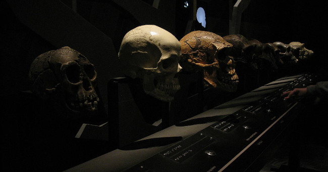 People cannot predict their own evolution