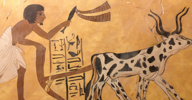 People damage the environment from 6,000 years ago