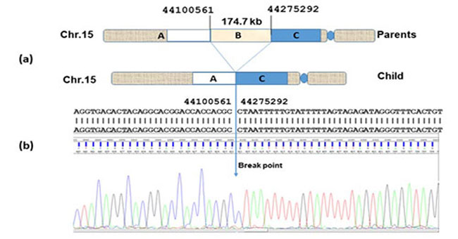 People exposed to dioxin can have genetic mutations