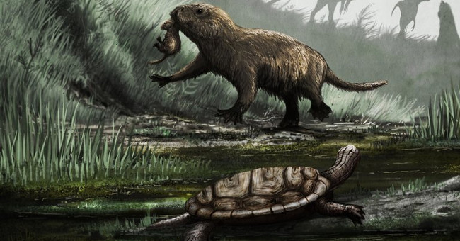 People have nighttime sleeping habits thanks to ... extinct dinosaurs?