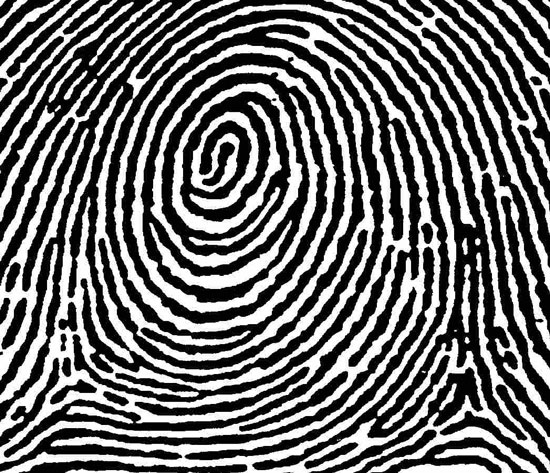 People have no fingerprints