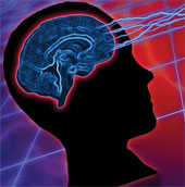 People need to use both hemispheres to communicate