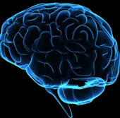 People only use 1/10 intelligence?